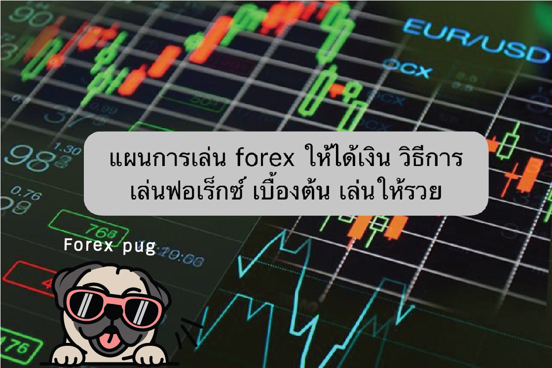 แผนการเล่น forex ให้ได้เงิน วิธีการเล่นฟอเร็กซ์เบื้องต้น เล่นให้รวย