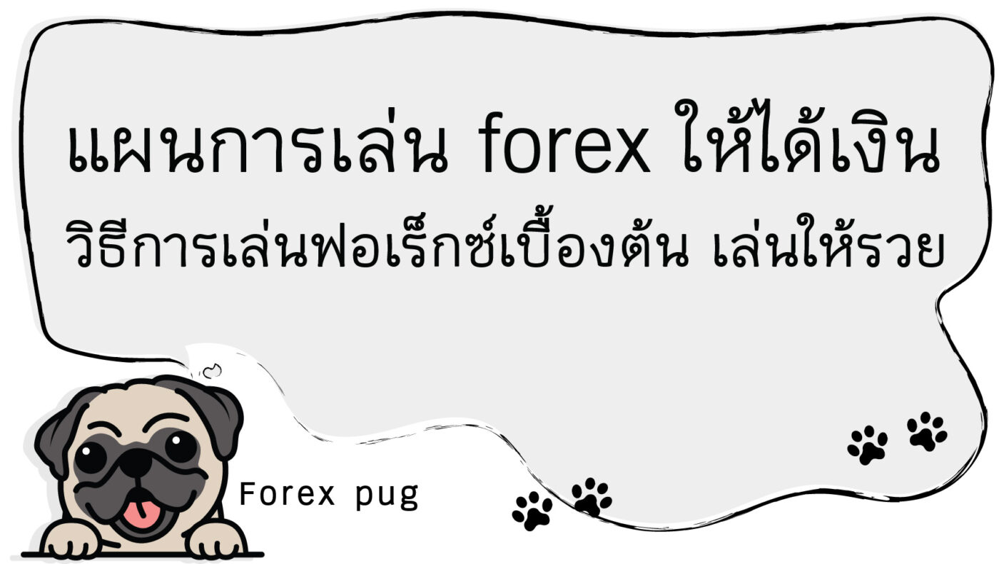 แผนการเล่น forex ให้ได้เงิน วิธีการเล่นฟอเร็กซ์เบื้องต้น เล่นให้รวย