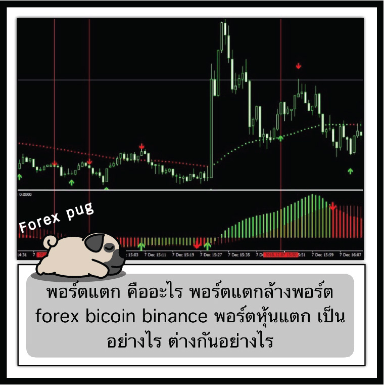 พอร์ตแตก คืออะไร พอร์ตแตกล้างพอร์ต forex bitcoin binance พอร์ตหุ้นแตก เป็นอย่างไร ต่างกันอย่างไร