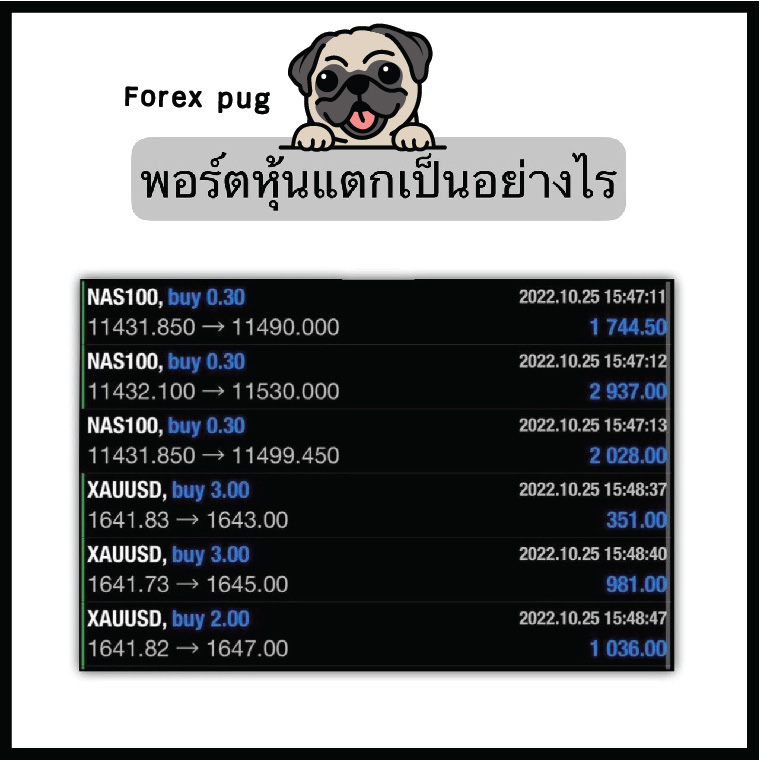 พอร์ตหุ้นแตก เป็นอย่างไร