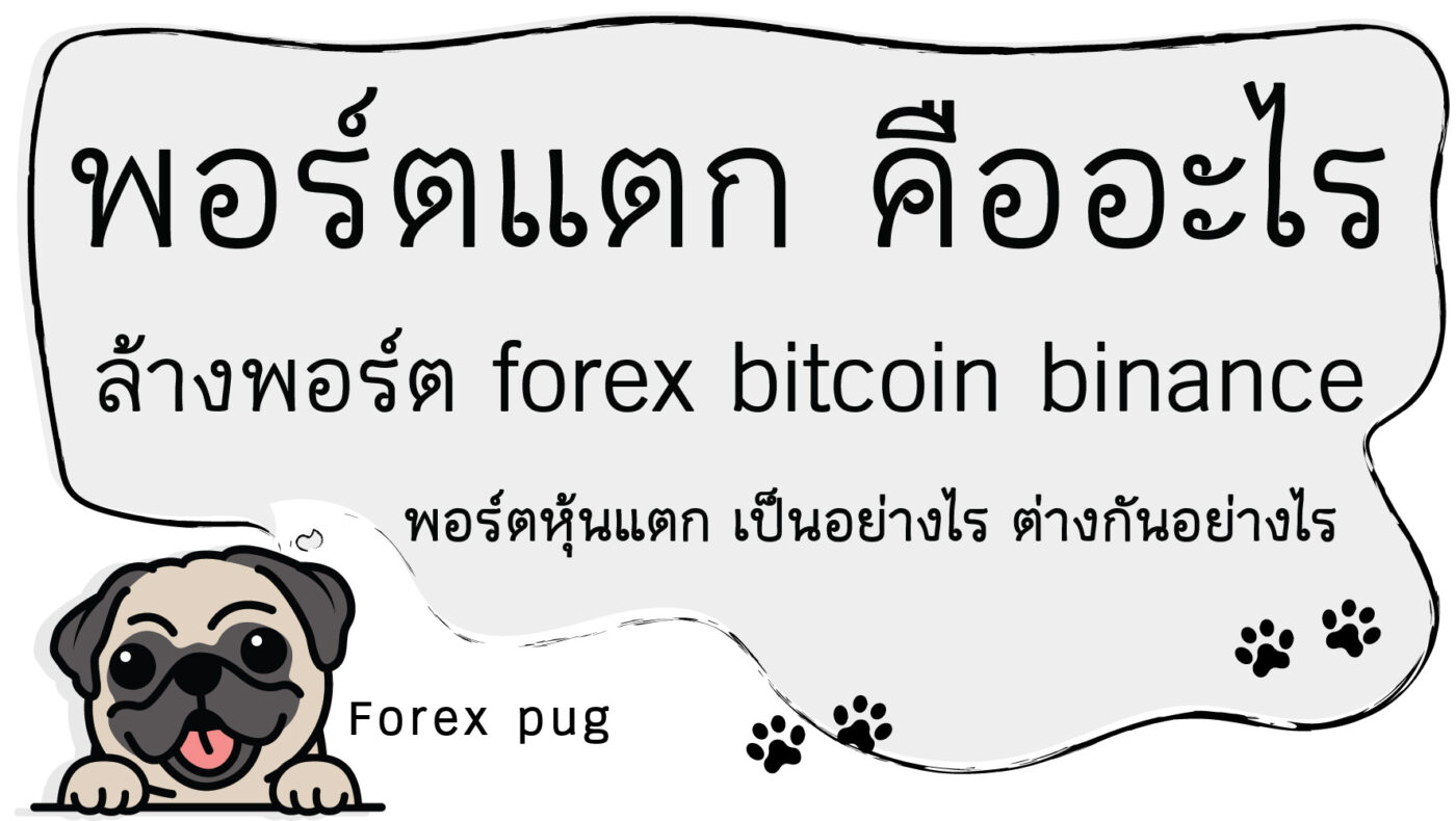 พอร์ตแตก คืออะไร พอร์ตแตกล้างพอร์ต forex bitcoin binance พอร์ตหุ้นแตก เป็นอย่างไร ต่างกันอย่างไร