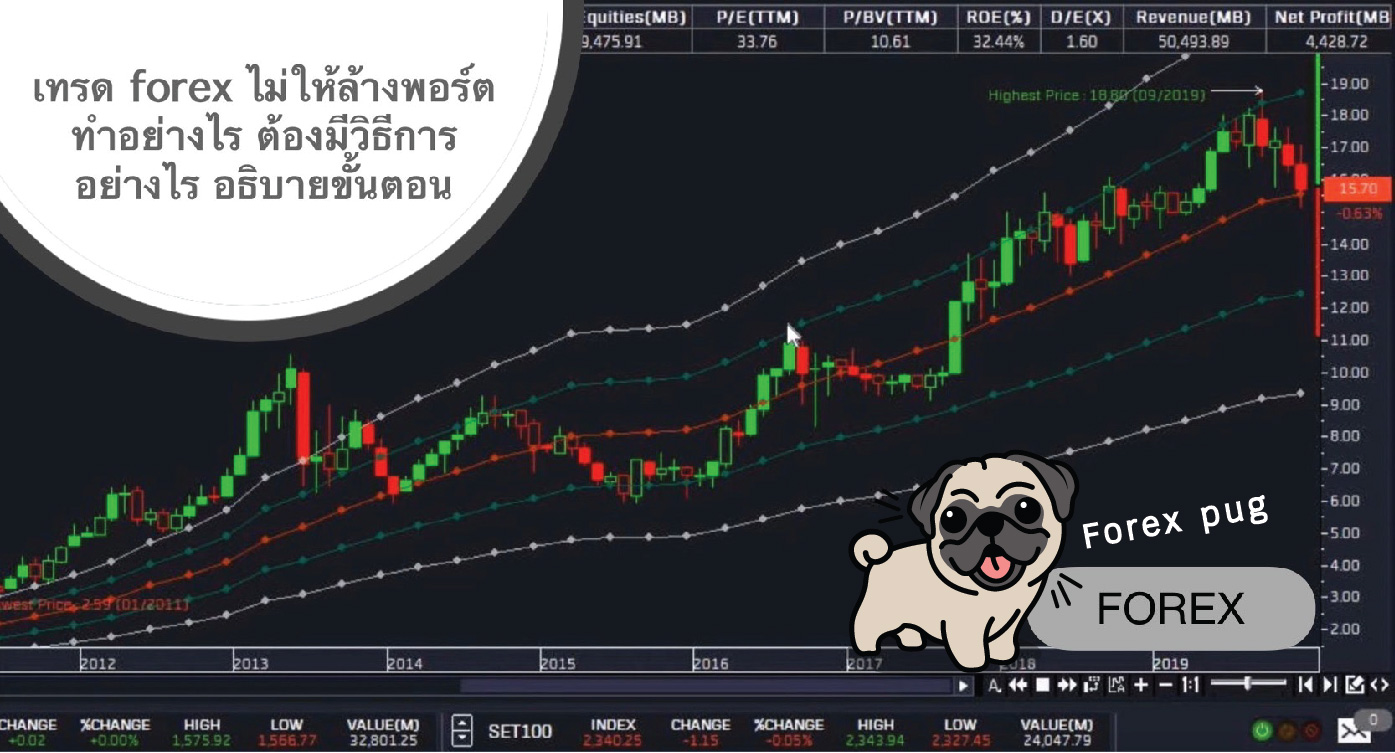 เทรด forex ไม่ให้ล้างพอร์ต ทำอย่างไร ต้องมีวิธีการอย่างไร อธิบายขั้นตอน