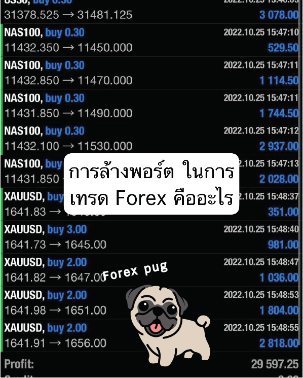 การล้างพอร์ต (Portfolio Wipeout) ในการเทรด Forex