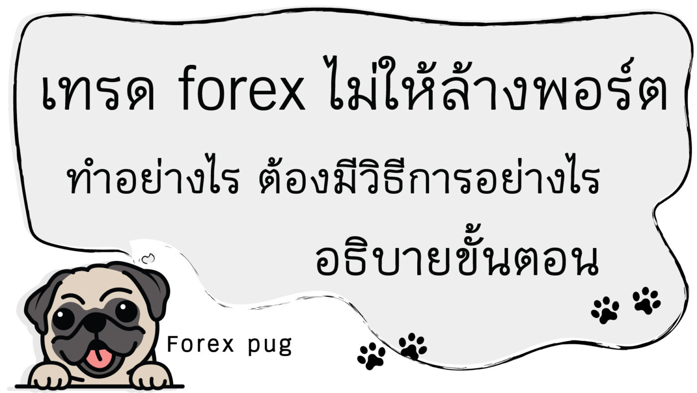 เทรด forex ไม่ให้ล้างพอร์ต ทำอย่างไร ต้องมีวิธีการอย่างไร อธิบายขั้นตอน