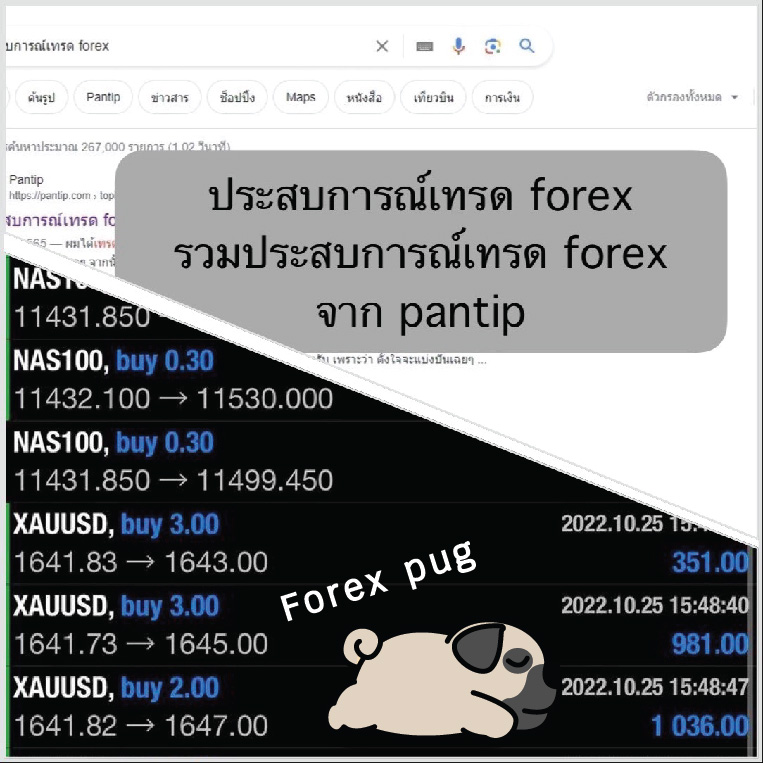 ประสบการณ์เทรด forex รวมประสบการณ์เทรด forex จาก pantip