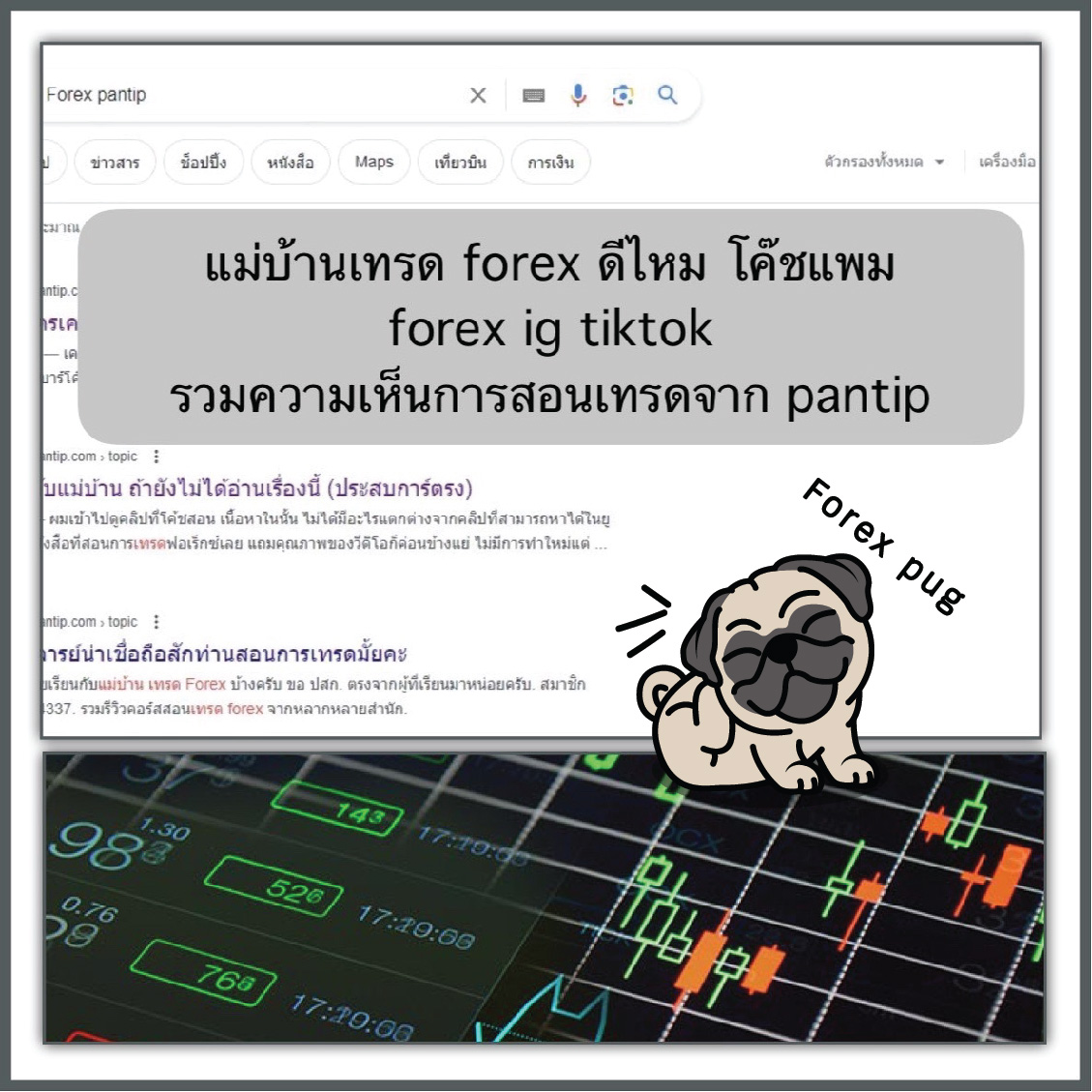 แม่บ้านเทรด forex ดีไหม โค๊ชแพม forex ig tiktok รวมความเห็นการสอนเทรดจาก pantip