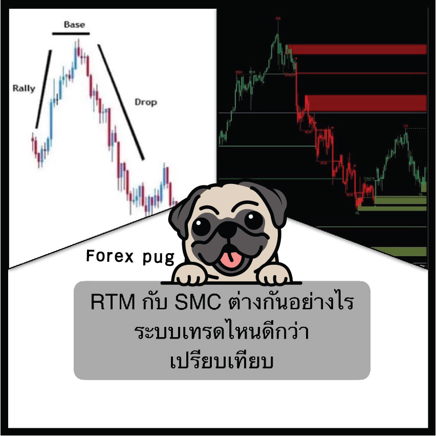 RTM กับ SMC ต่างกันอย่างไร ระบบเทรดไหนดีกว่า เปรียบเทียบ