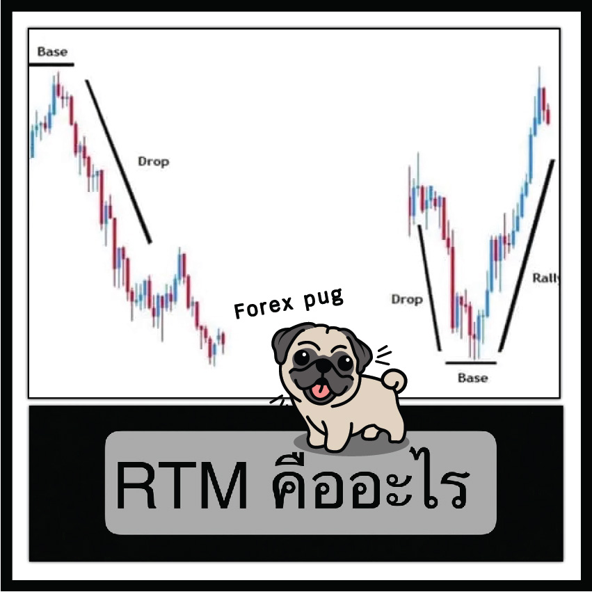 RTM คืออะไร