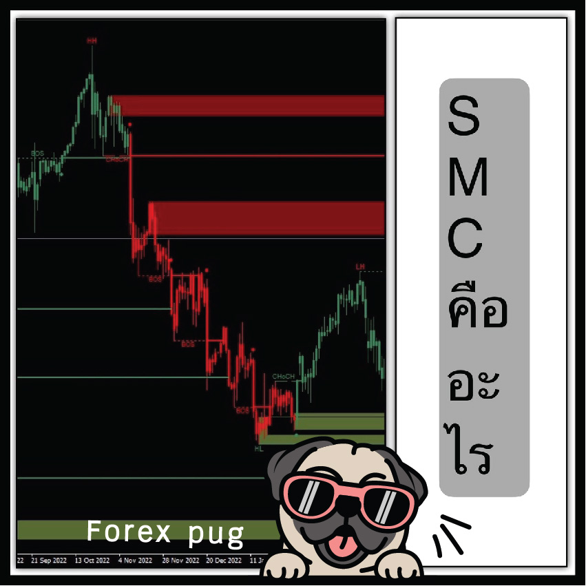 SMC คืออะไร