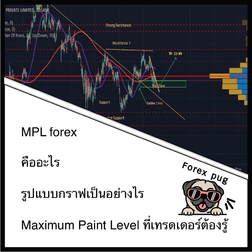 MPL forex คืออะไร รูปแบบกราฟเป็นอย่างไร Maximum Paint Level ที่เทรดเดอร์ต้องรู้