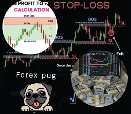 ปรแกรมคำนวณ forex มีอะไรบ้าง