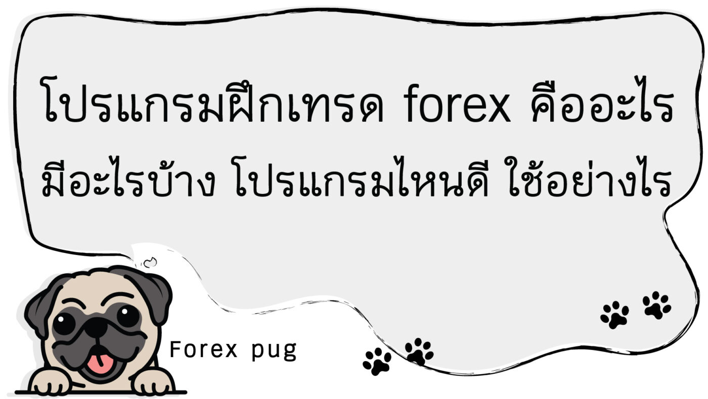 โปรแกรมฝึกเทรด forex คืออะไร มีอะไรบ้าง โปรแกรมไหนดี ใช้อย่างไร