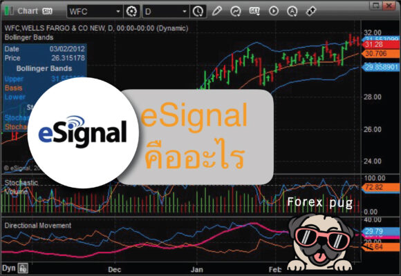 แพลตฟอร์ม esignal คืออะไร