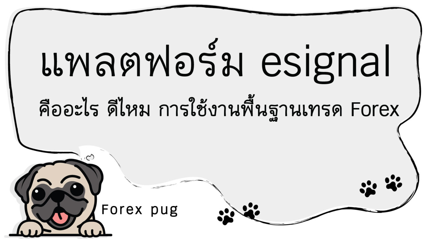 แพลตฟอร์ม esignal คืออะไร ดีไหม การใช้งานพื้นฐานเทรด Forex