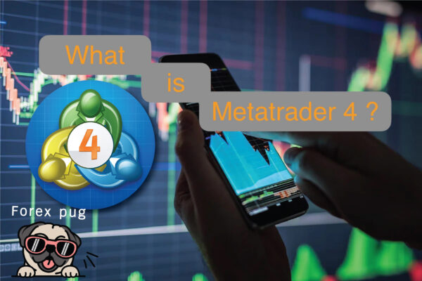 แอพ metatrader4 (MT4) คือ