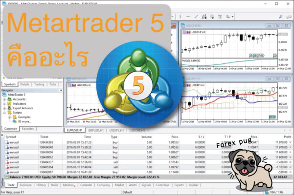 แอพ metatrader5 (MT5) คือ