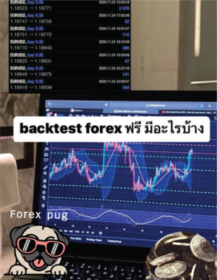 โปรแกรม Backtest Forex ฟรี มีอะไรบ้าง