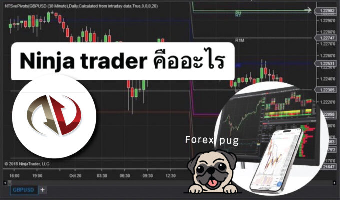 โปรแกรม Ninja Trader คือ