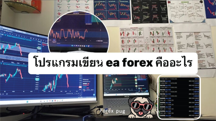 โปรแกรม เขียน ea forexคือ