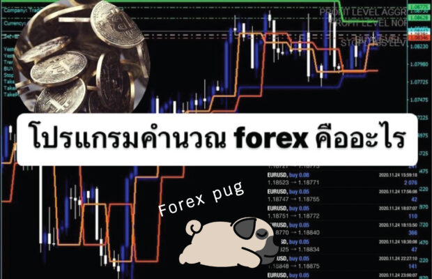 โปรแกรมคำนวณ forex คือ