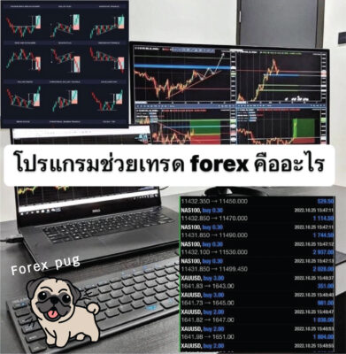 โปรแกรมช่วยเทรด forex ฟรี คืออะไร