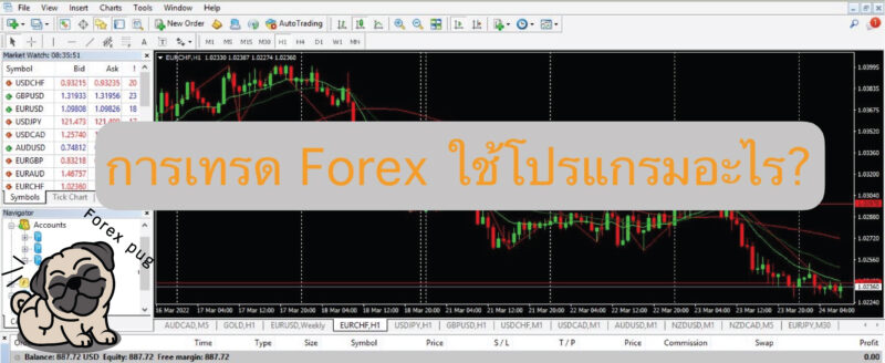 โปรแกรมเทรด forex ใช้อะไร