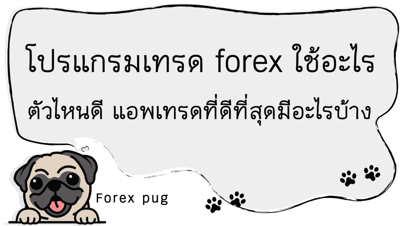 โปรแกรมเทรด forex ใช้อะไร ตัวไหนดี แอพเทรดที่ดีที่สุดมีอะไรบ้าง