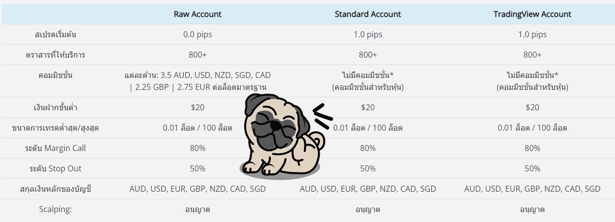 ประเภทบัญชีเทรดของ Eightcap ทางเลือกที่เหมาะกับทุกสไตล์การลงทุน