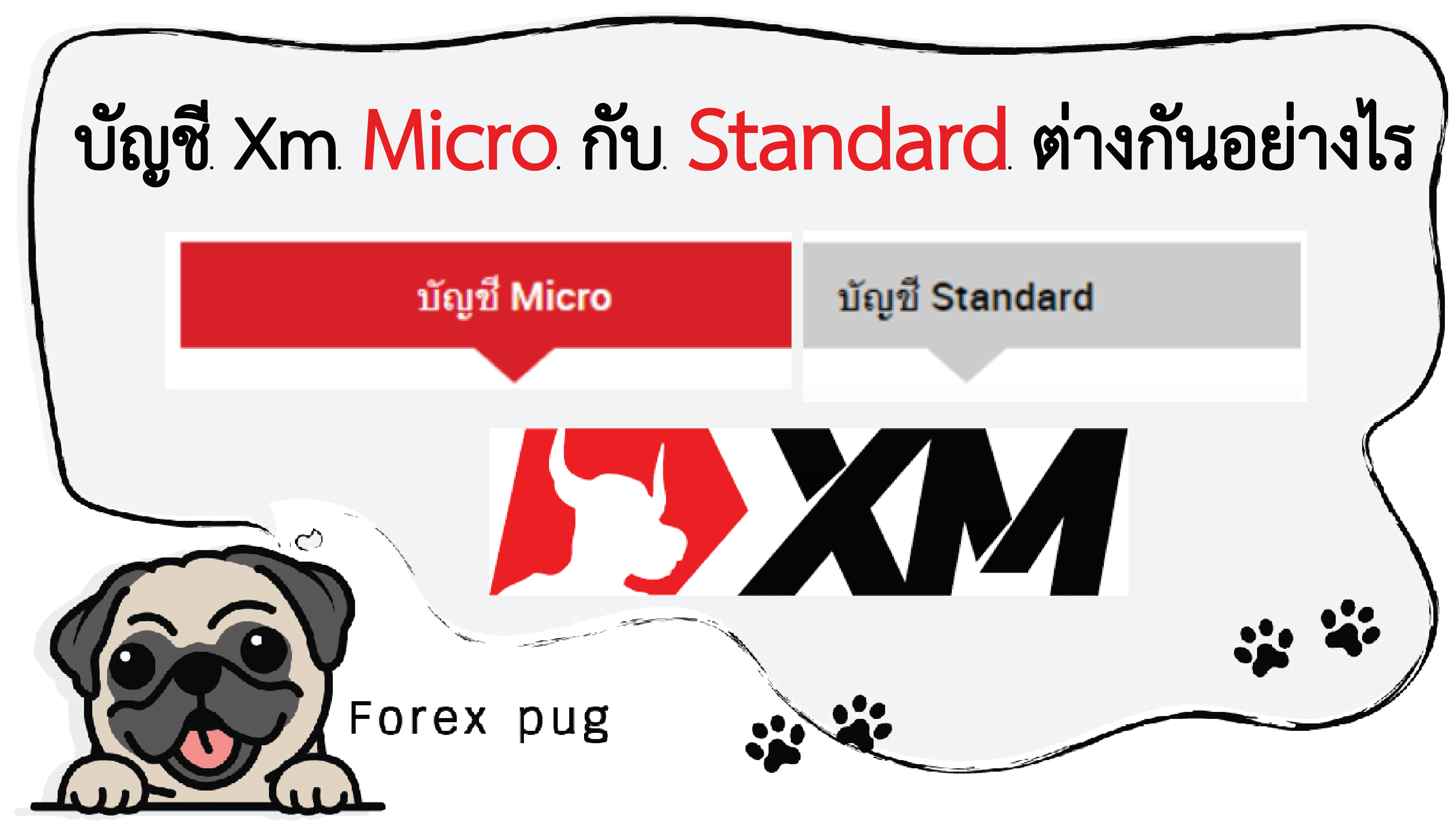 Select บัญชี Xm micro กับ Standard ต่างกันอย่างไร