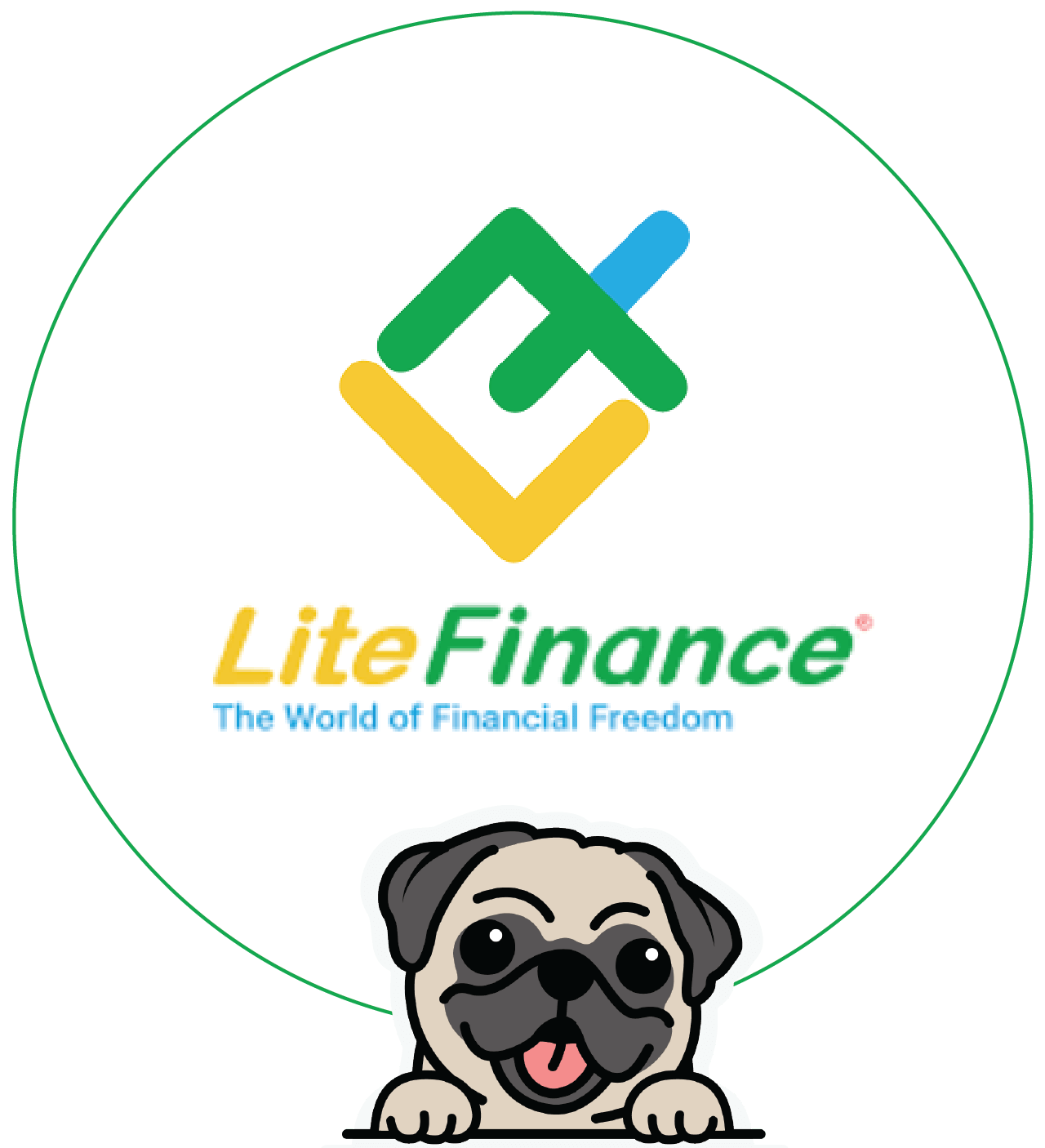 logo LiteFinance