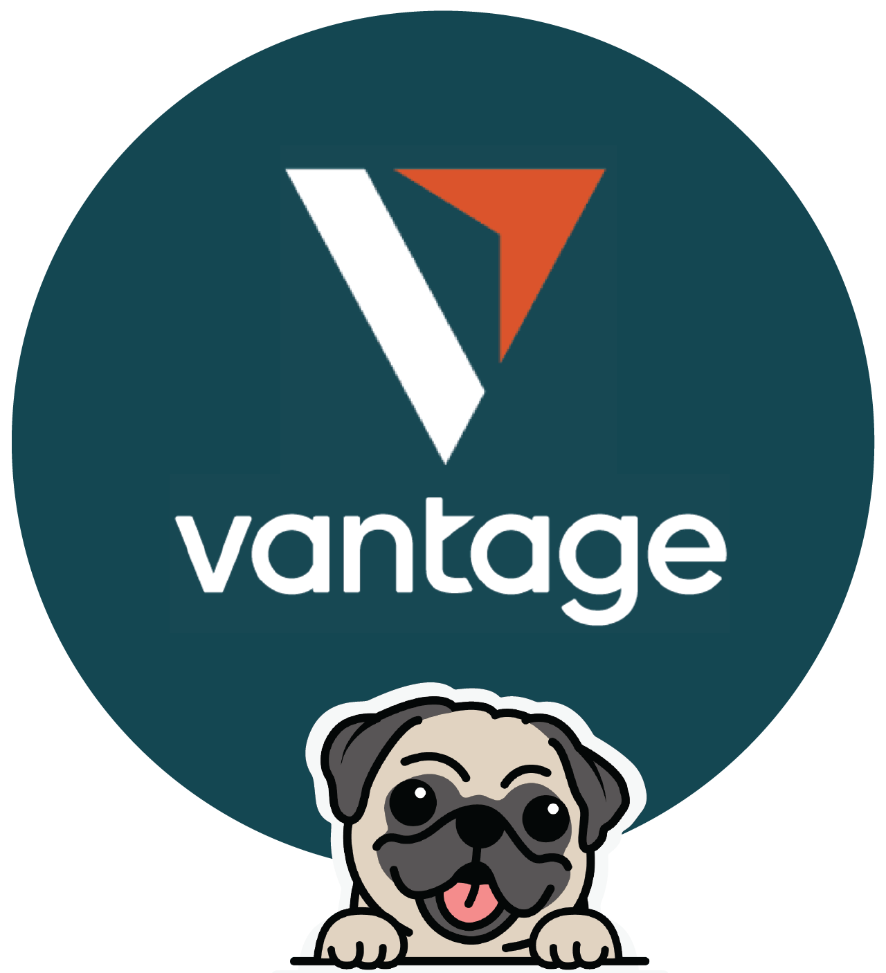 logo Vantage