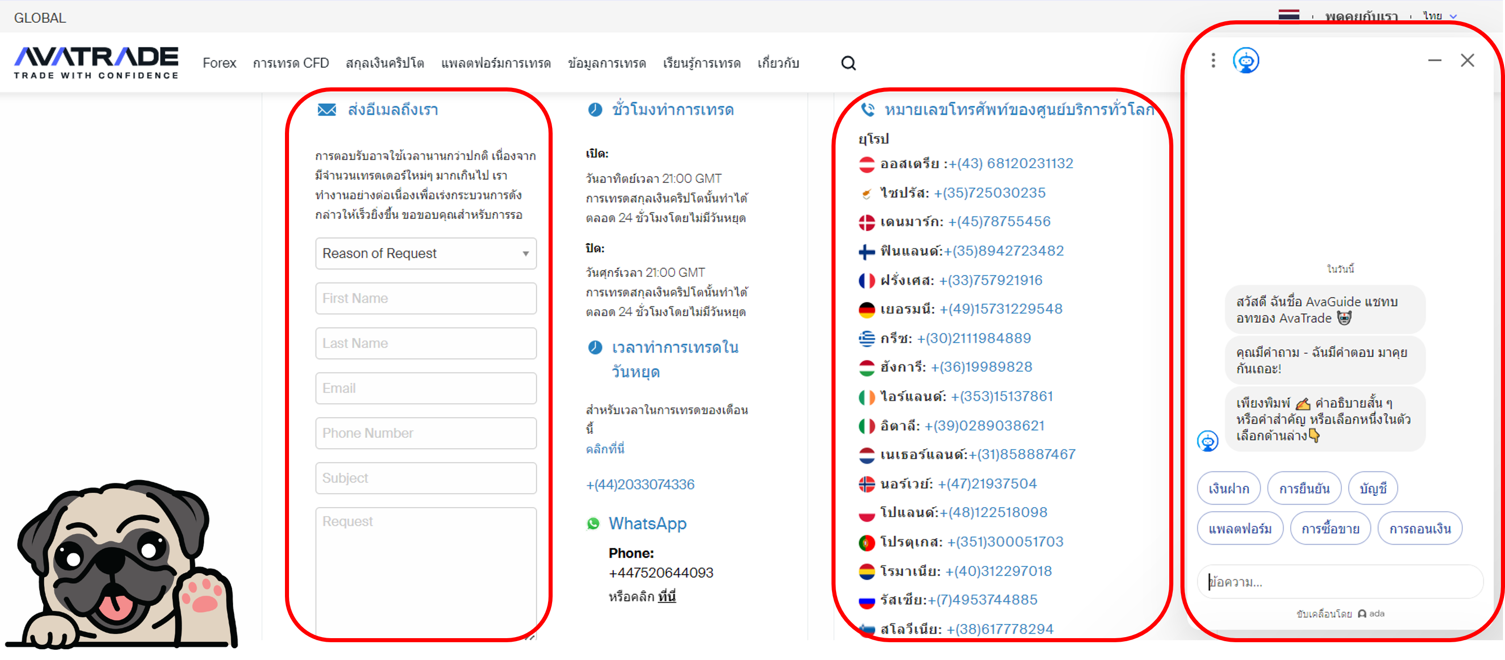ช่องทางการติดต่อ AVATRADE