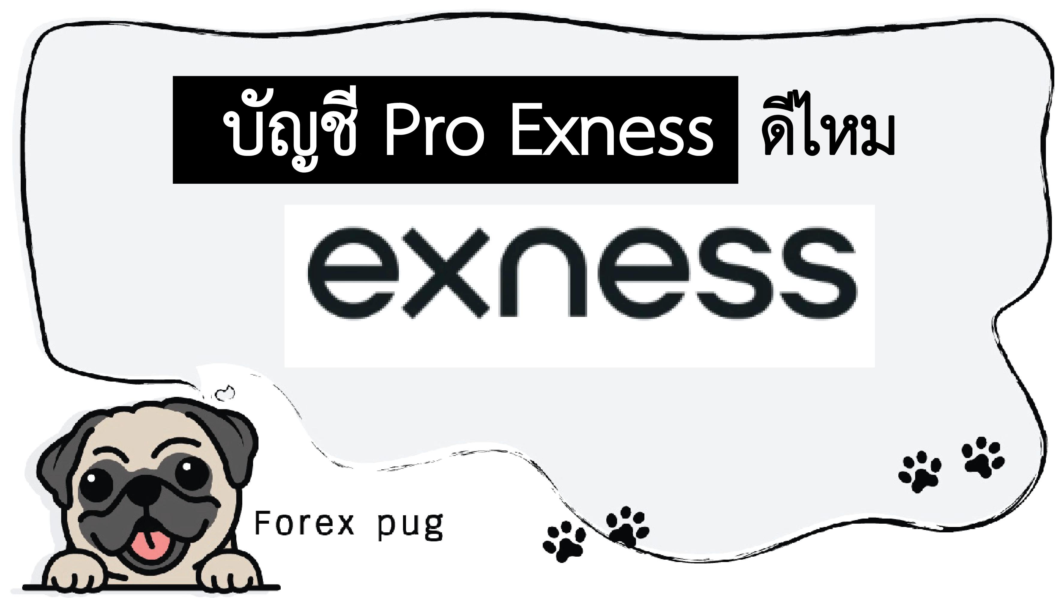 บัญชี Pro Exness ดีไหม