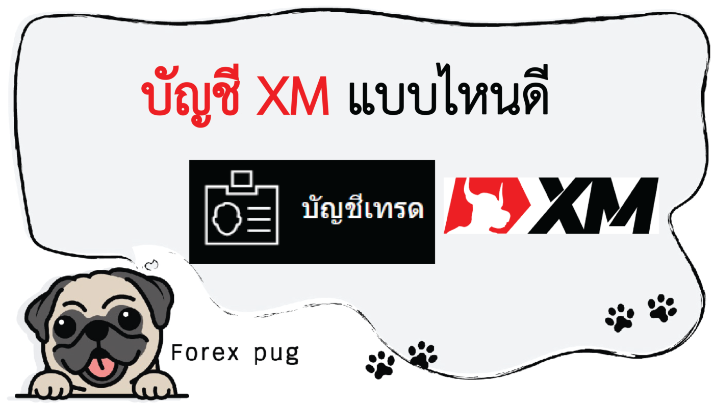 บัญชี XM แบบไหนดี