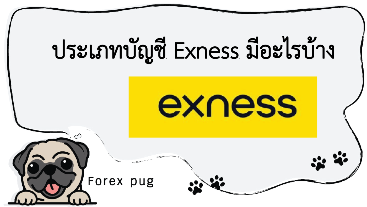 ประเภทบัญชี Exness มีอะไรบ้าง