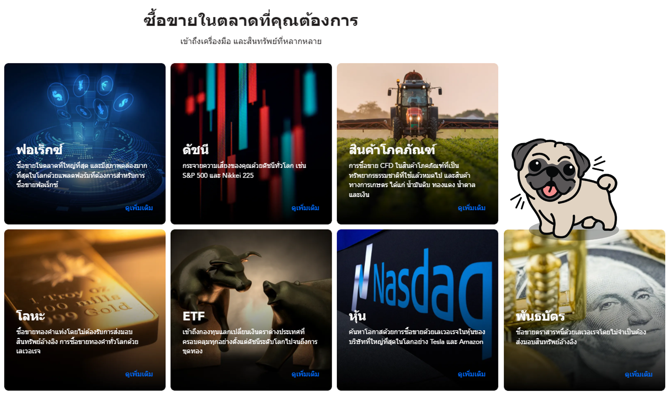 ผลิตภัณฑ์ของ PU Prime