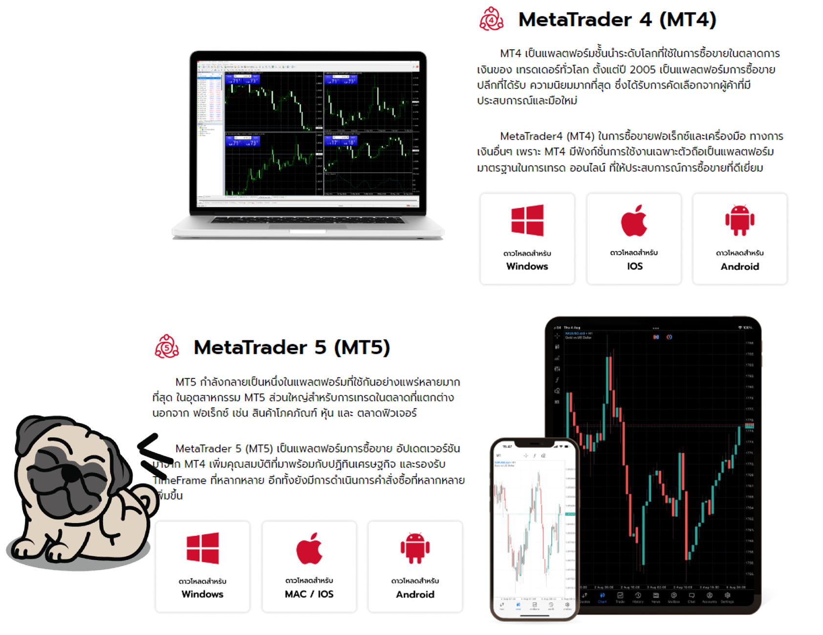 แพลตฟอร์ม GOFX ที่สามารถใช้งานได้