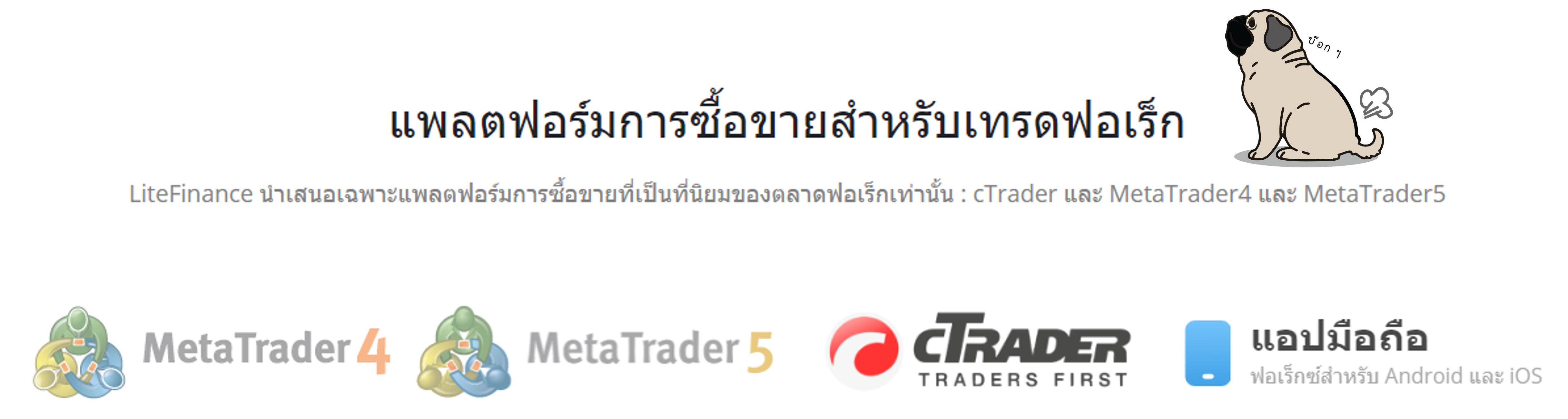 แพลตฟอร์มการซื้อขาย LiteFinance